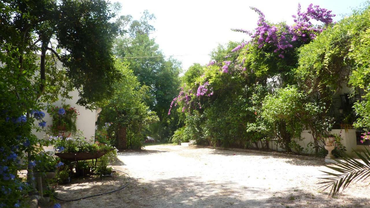 Il Trullo Del Cadetto Villa Francavilla Fontana Exterior photo