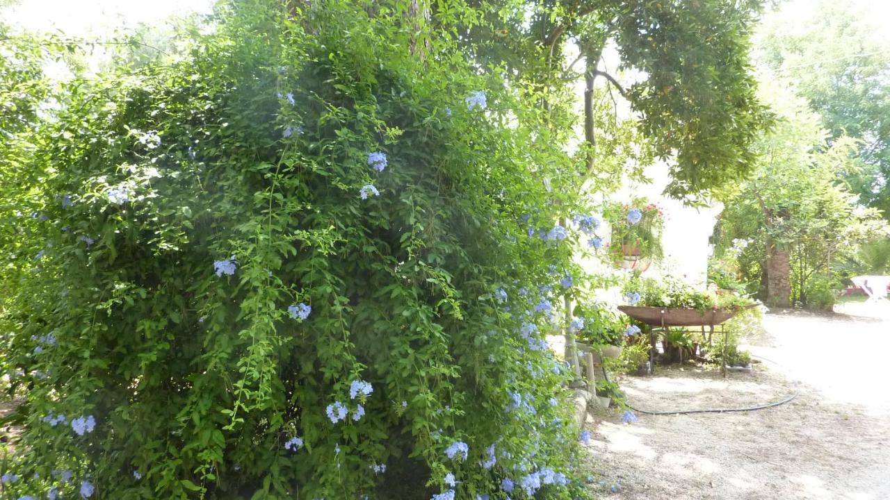 Il Trullo Del Cadetto Villa Francavilla Fontana Exterior photo