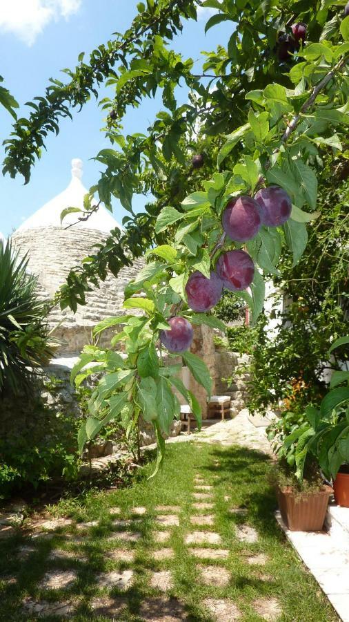 Il Trullo Del Cadetto Villa Francavilla Fontana Exterior photo